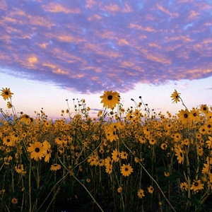 天天操天天射天天色
